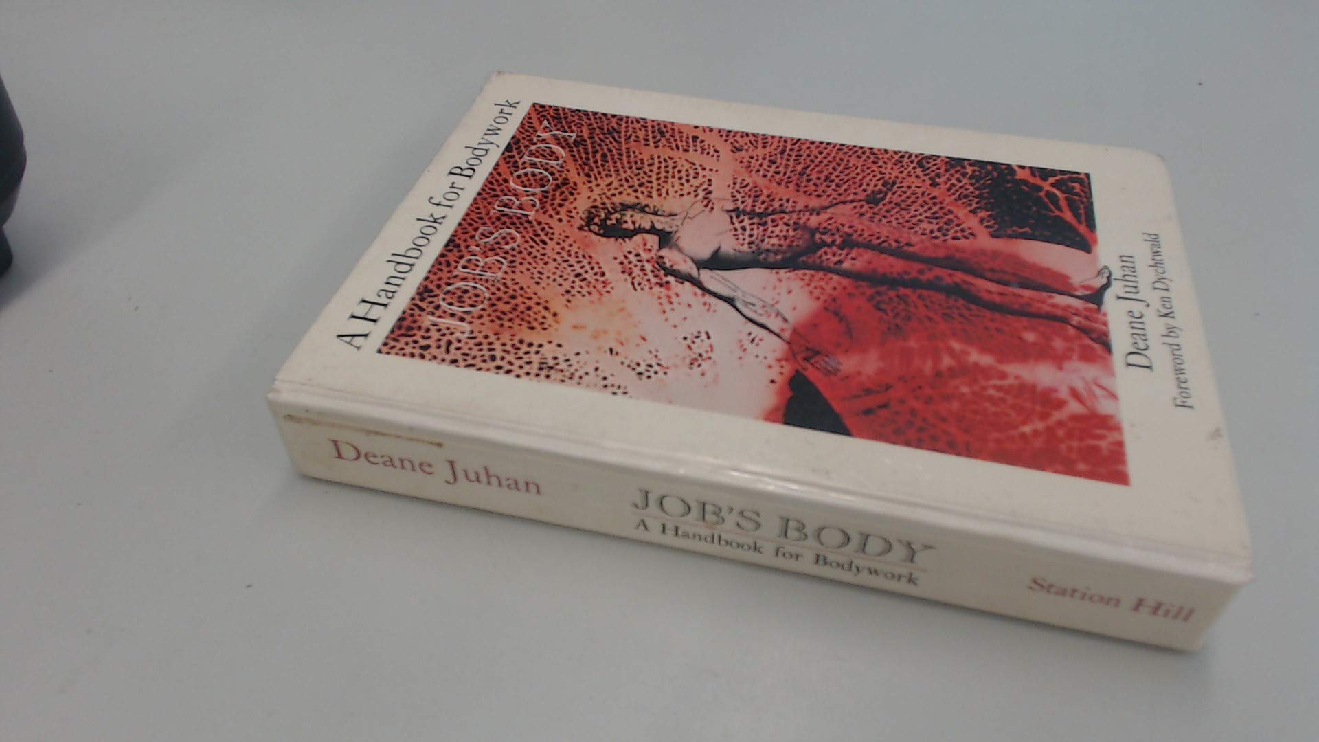 Job's Body: A Handbook for Bodywork Parents & Children