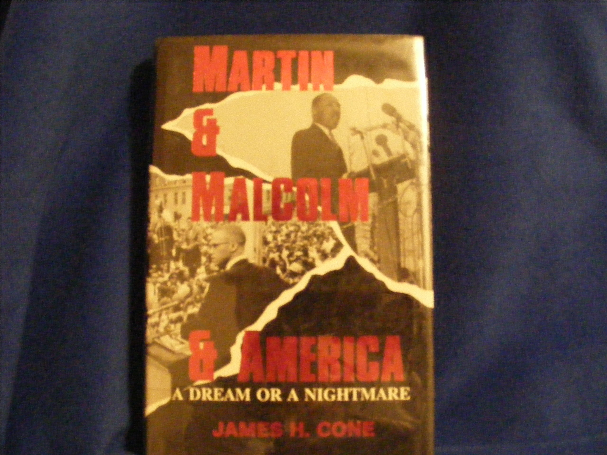 Martin and Malcolm and America: A Dream or a Nightmare? Politics & Society