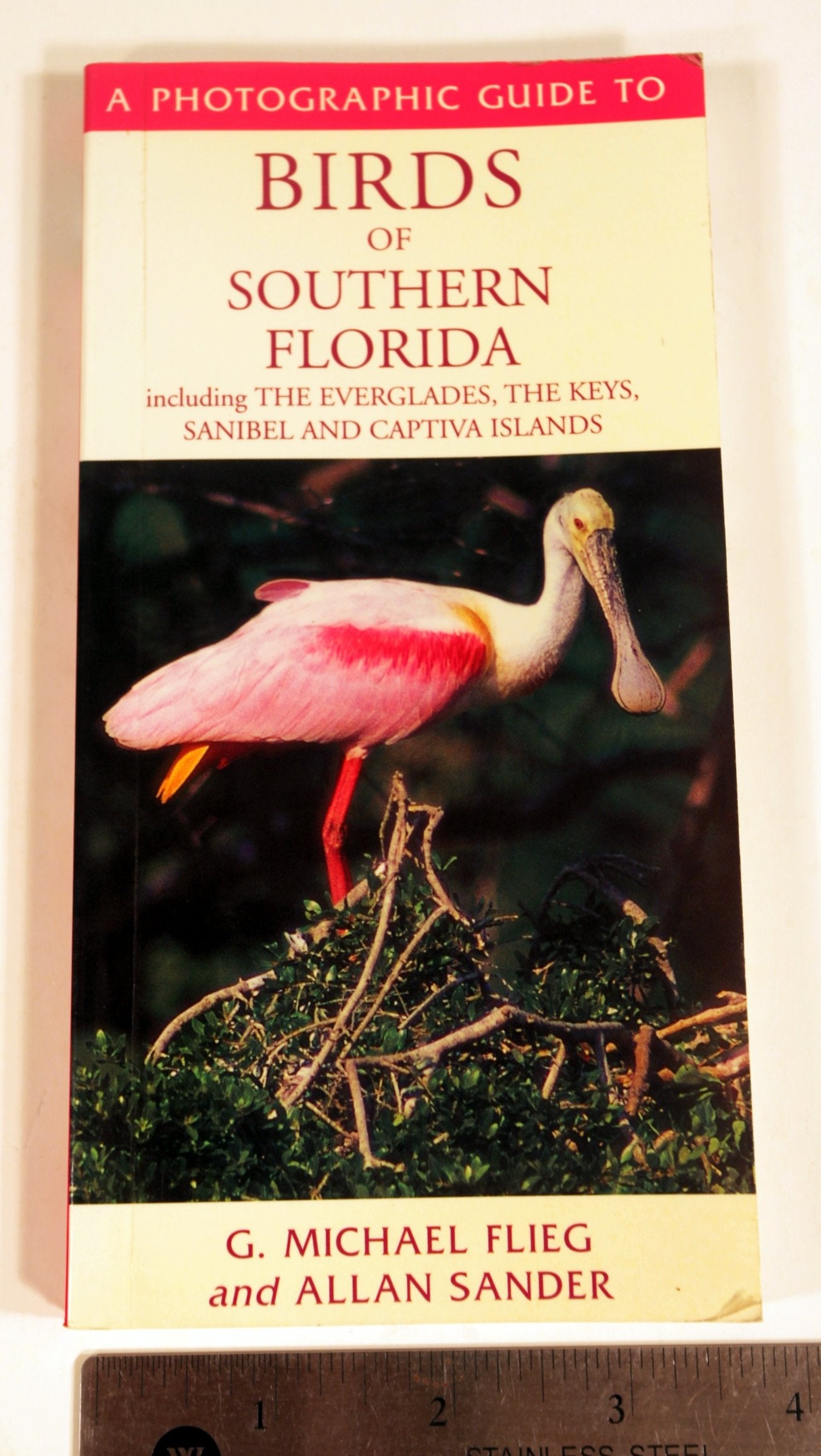 A Photographic Guide to Birds of Southern Florida: Including the Everglades, the Keys, Sanibel and Captiva Islands Mathematics