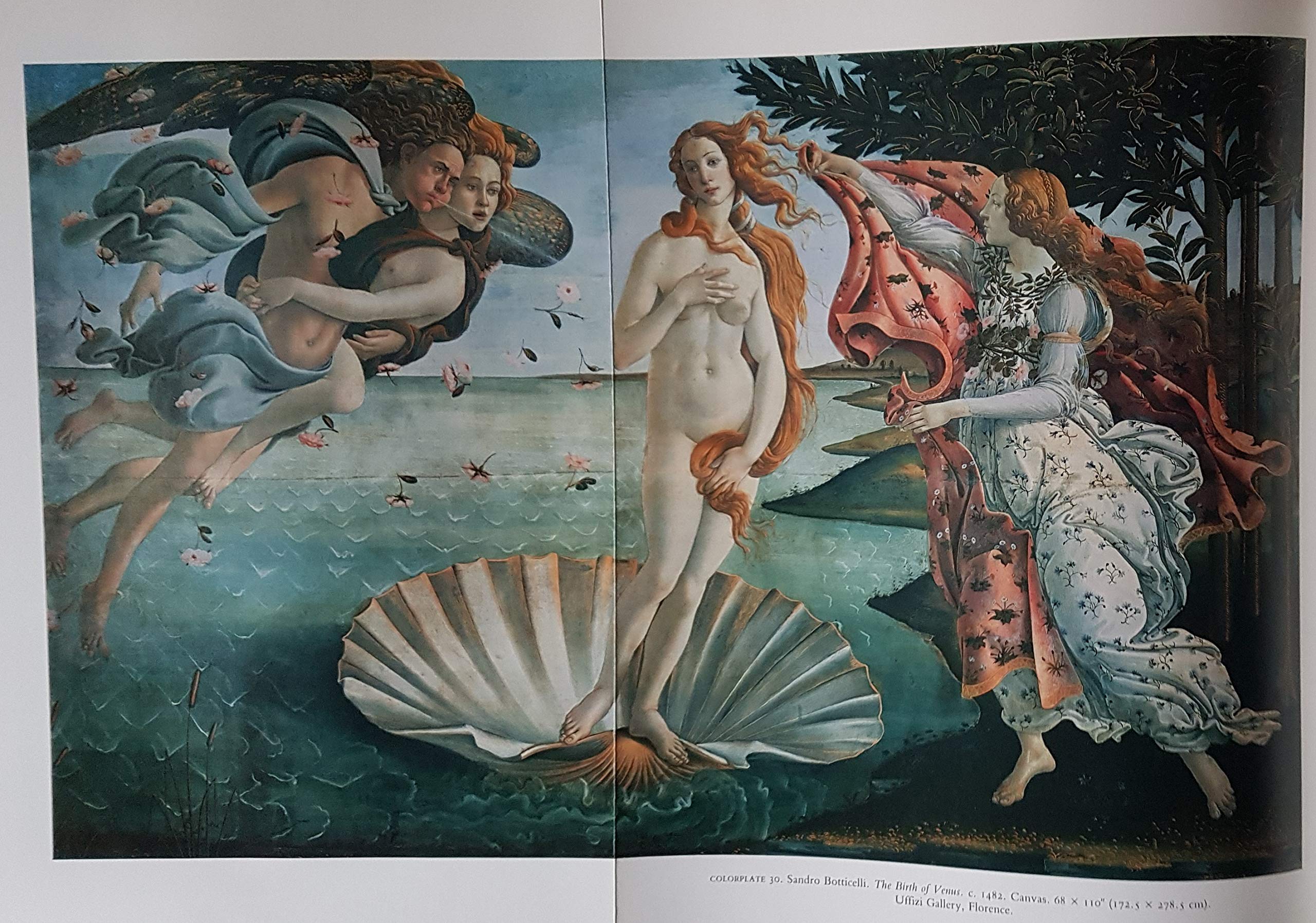 Great Masters: Giotto, Botticelli, Leonardo, Raphael, Michelangelo, Titian (Library of great masters) Film, Art & Culture