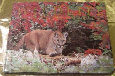 Wildlife of North America by Thomas A. Lewis (1998-05-03) Books