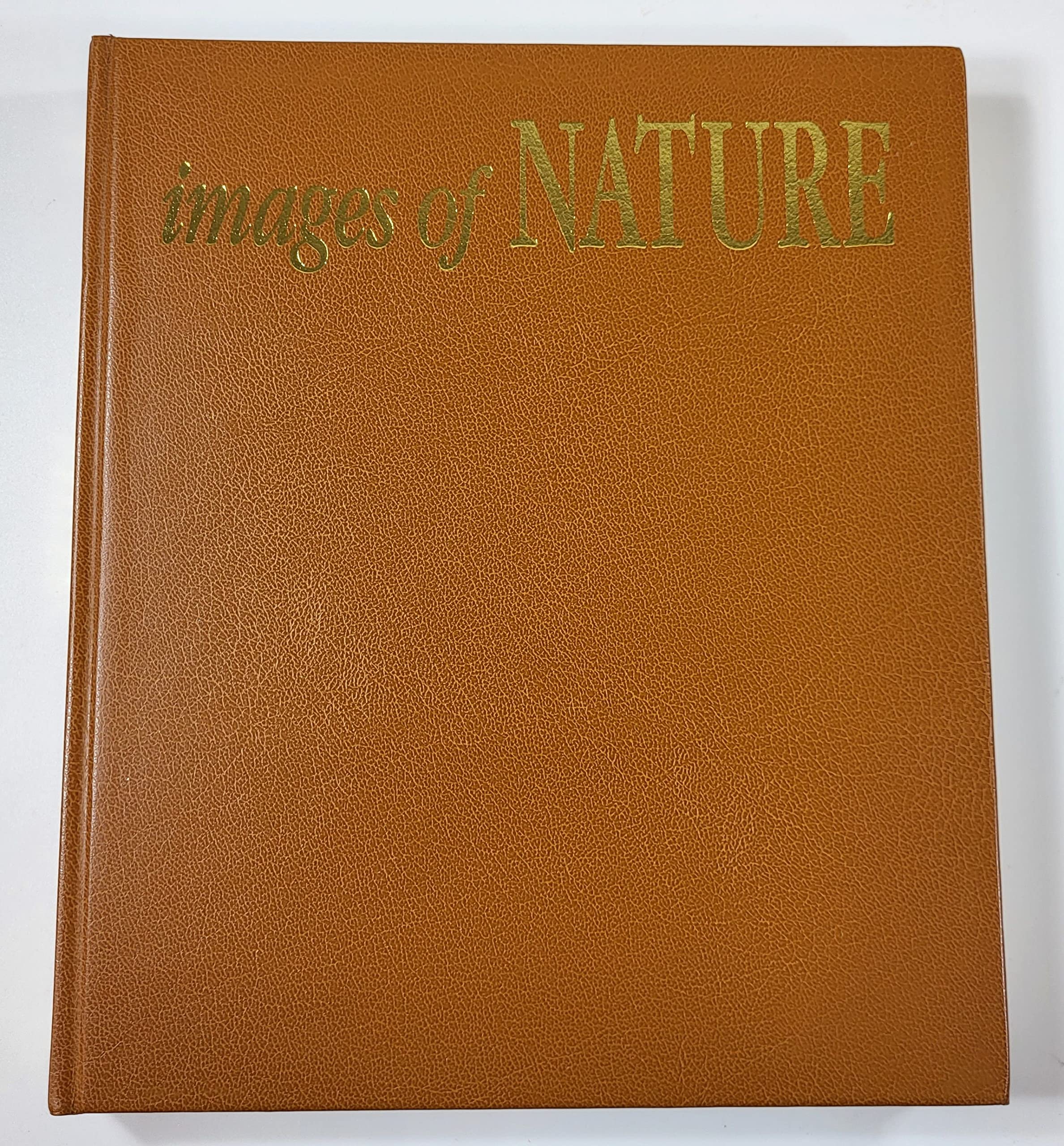 Images of Nature: The Photographs of Thomas D. Mangelson: Photographs of Thomas D. Mangelsen Mathematics