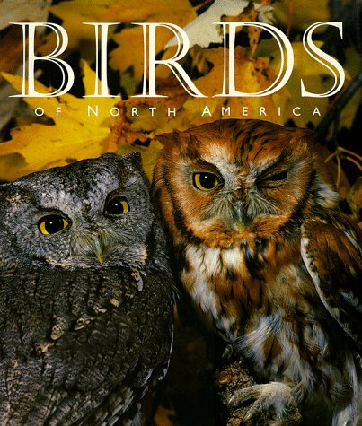 Birds of North America Leisure, Home & Garden