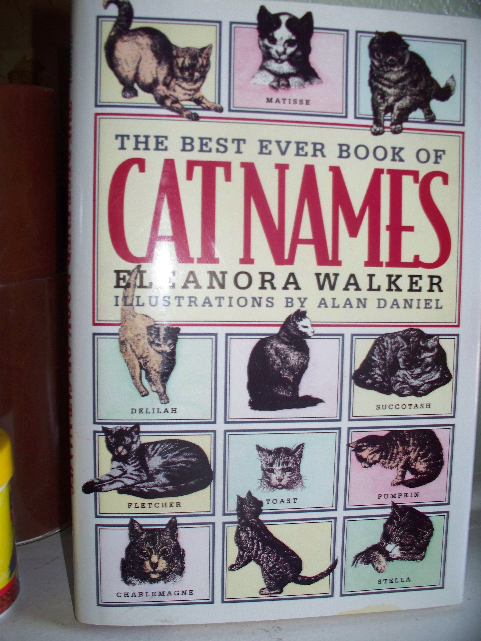 The Best Ever Book of Cat Names Pets