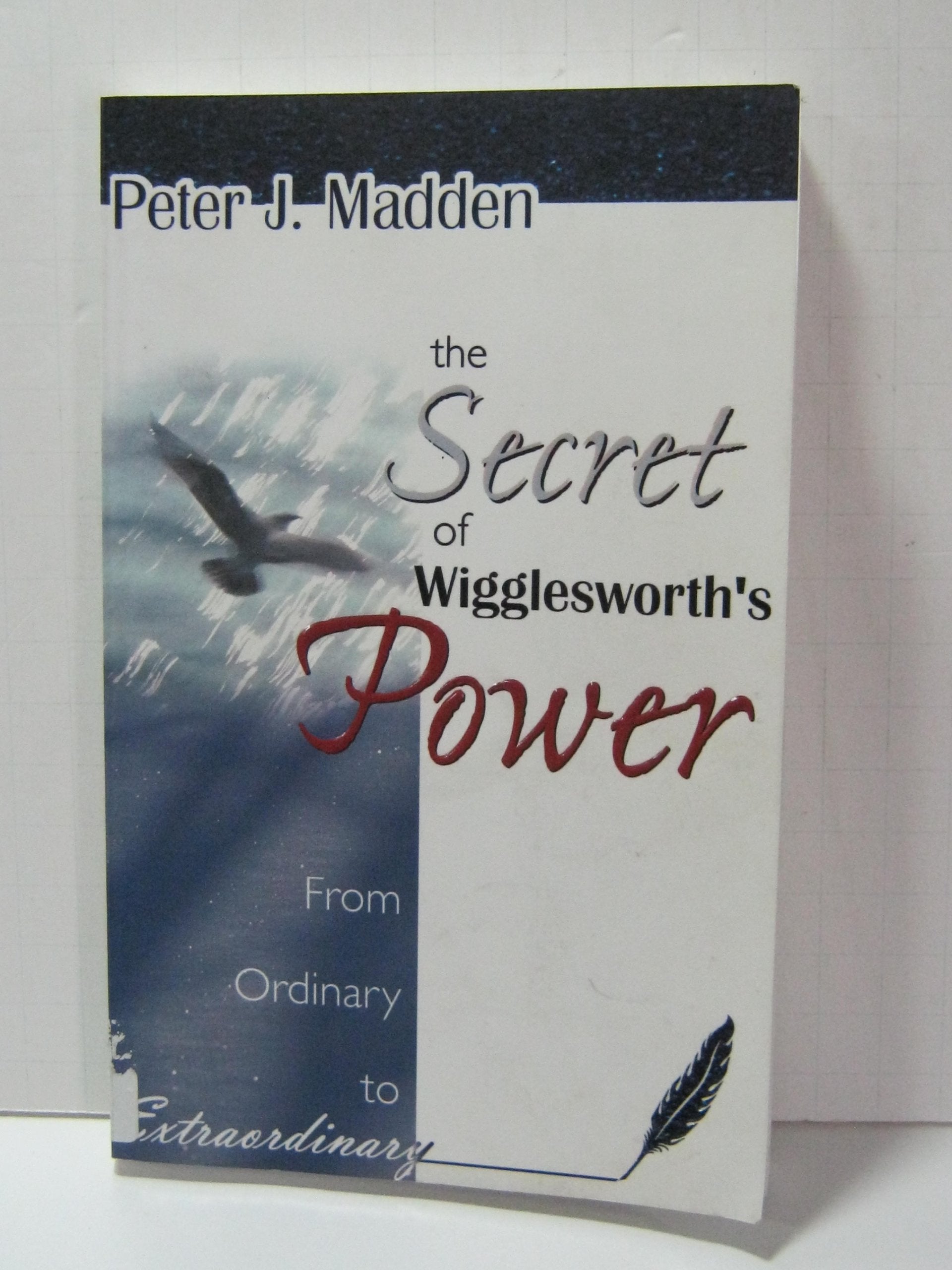 The Secret of Wigglesworth's Power book