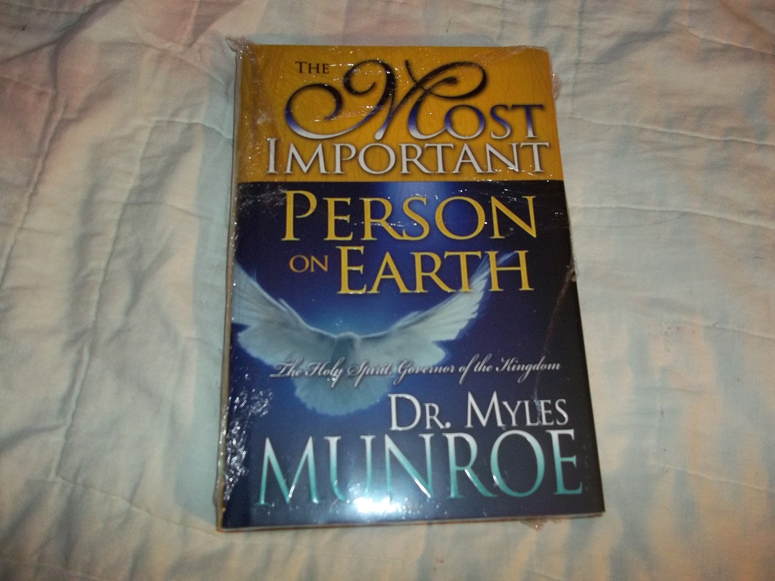 Most Important Person on Earth: The Holy Spirit, the Heavenly Governor Religion & Esotericism
