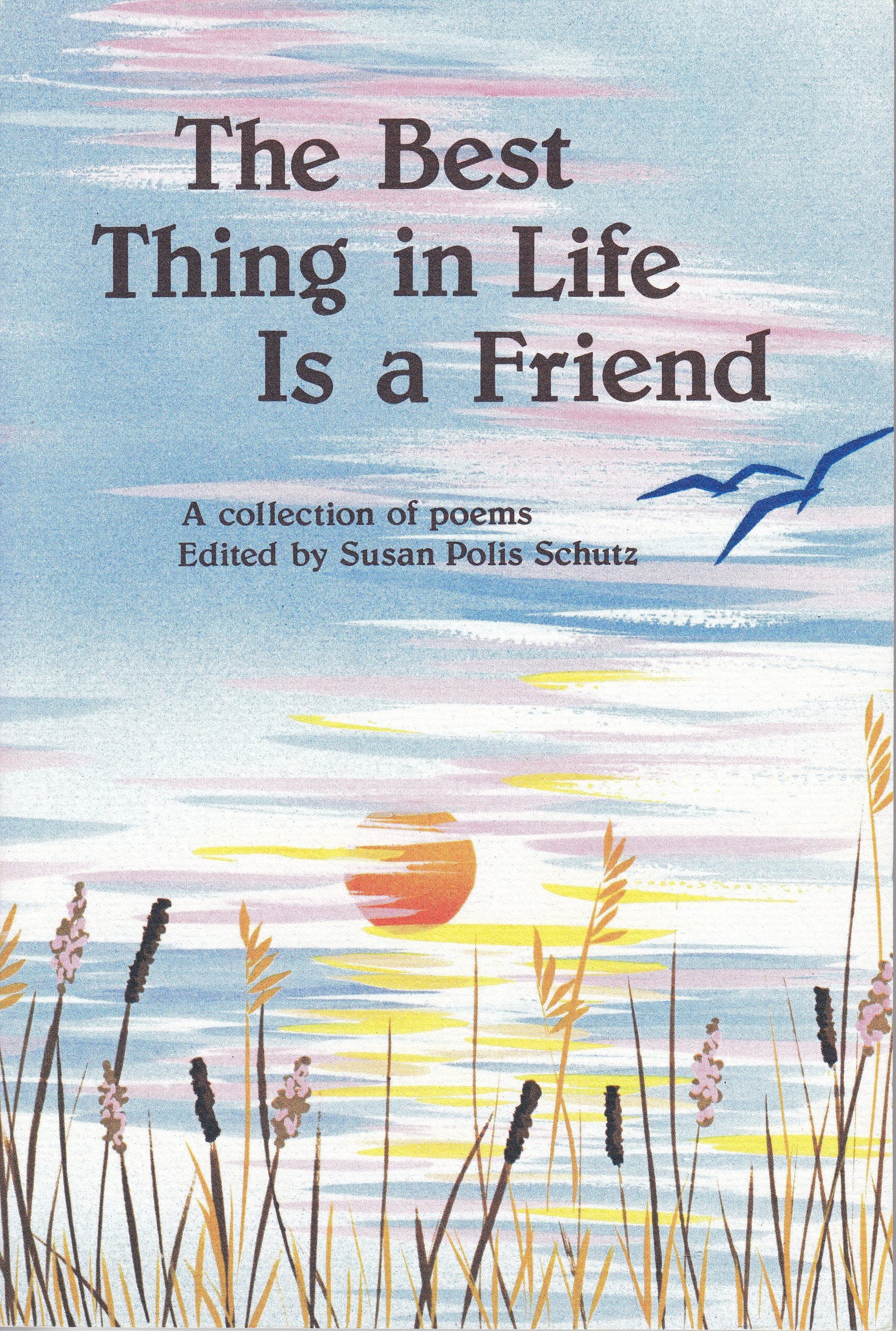 Best Thing in Life Is a Friend: A Blue Mountain Arts Collection Contemporary literature