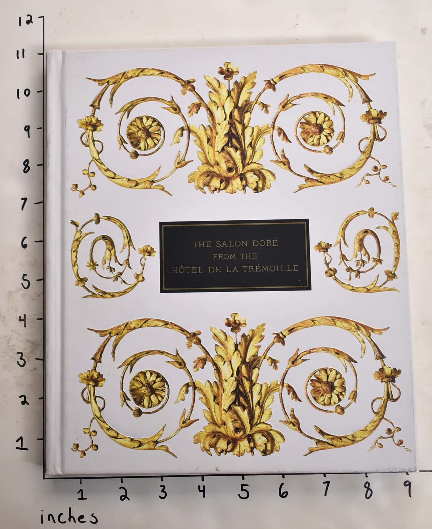 The Salon Dore from the Hotel De La Tremoille book