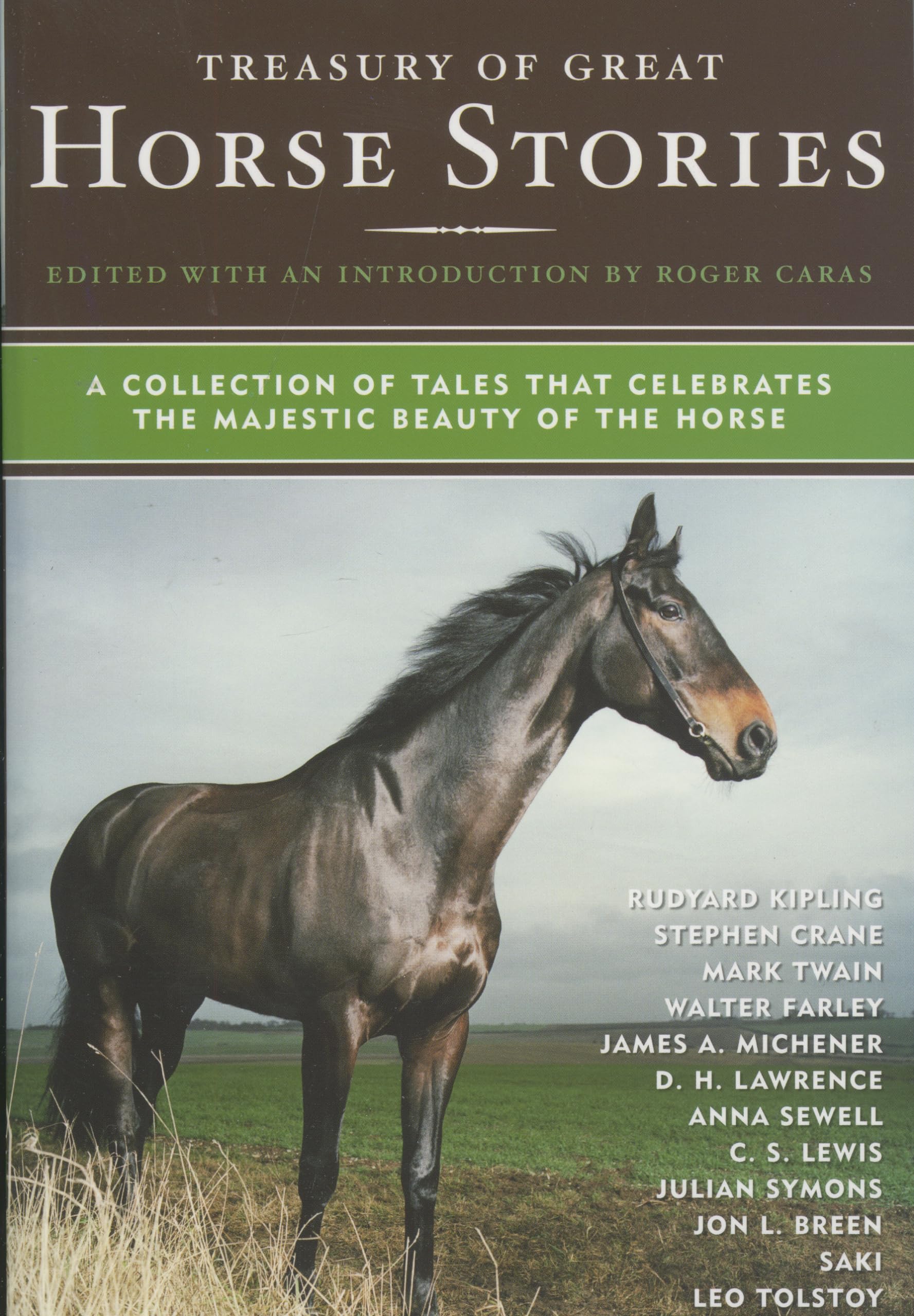 Treasury of Great Horse Stories: A Collection of Tales That Celebrates the Majestic Beauty of the Horse book