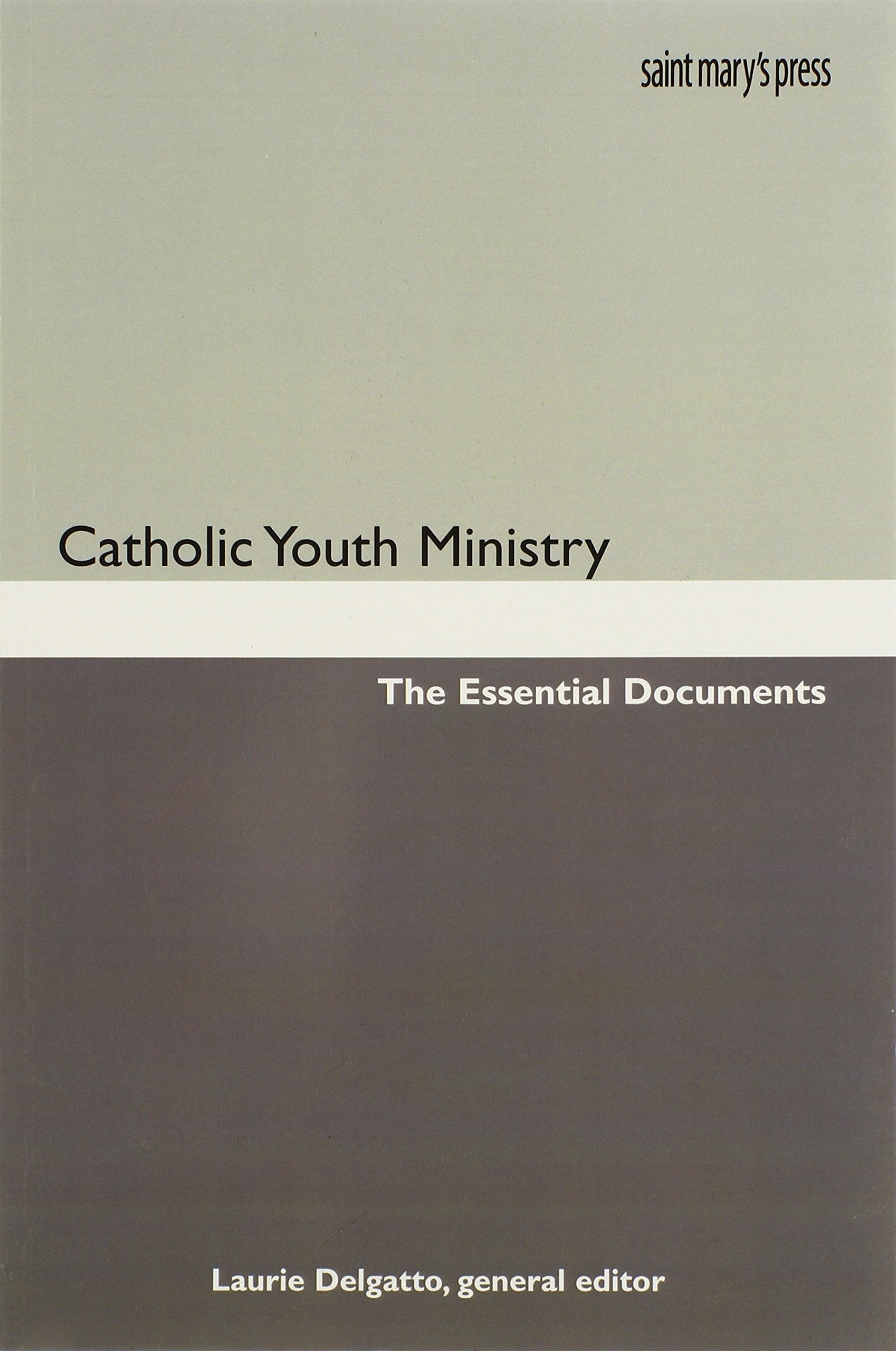 Catholic Youth Ministry: The Essential Documents Reference Books
