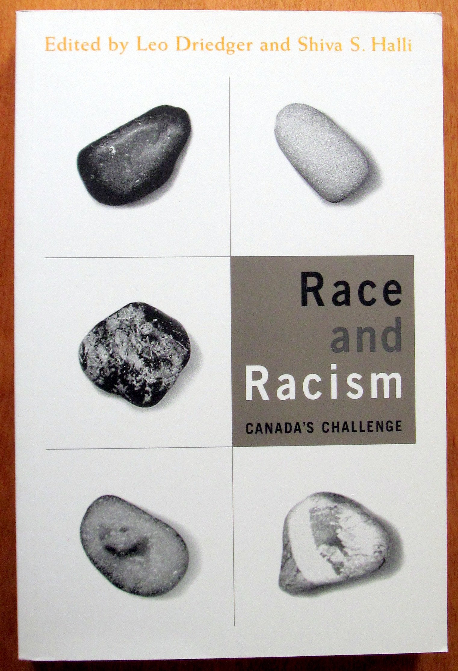 Driedger, L: Race and Racism Books