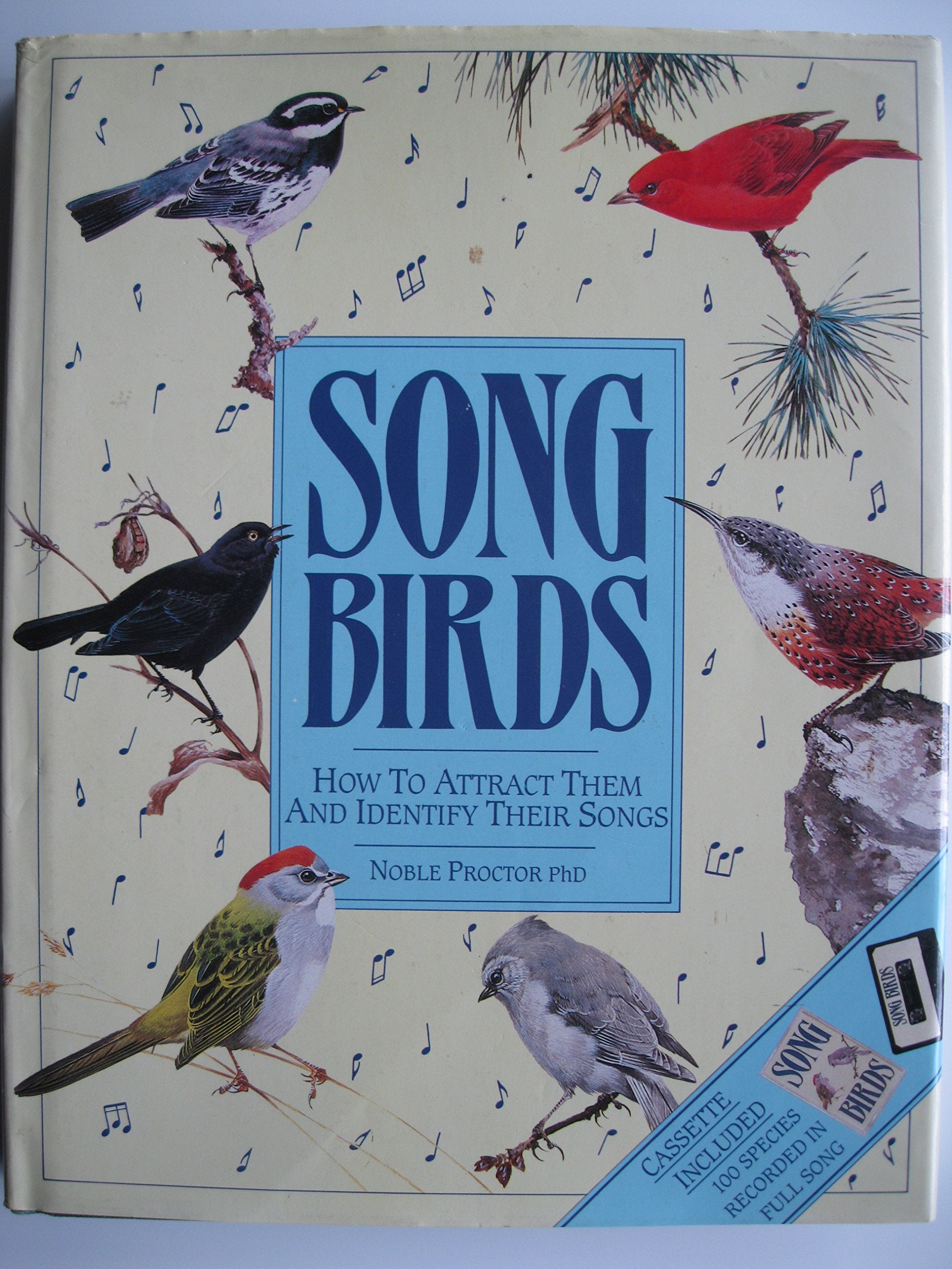 Song Birds, How To Attract Them And Identify Their Songs Books