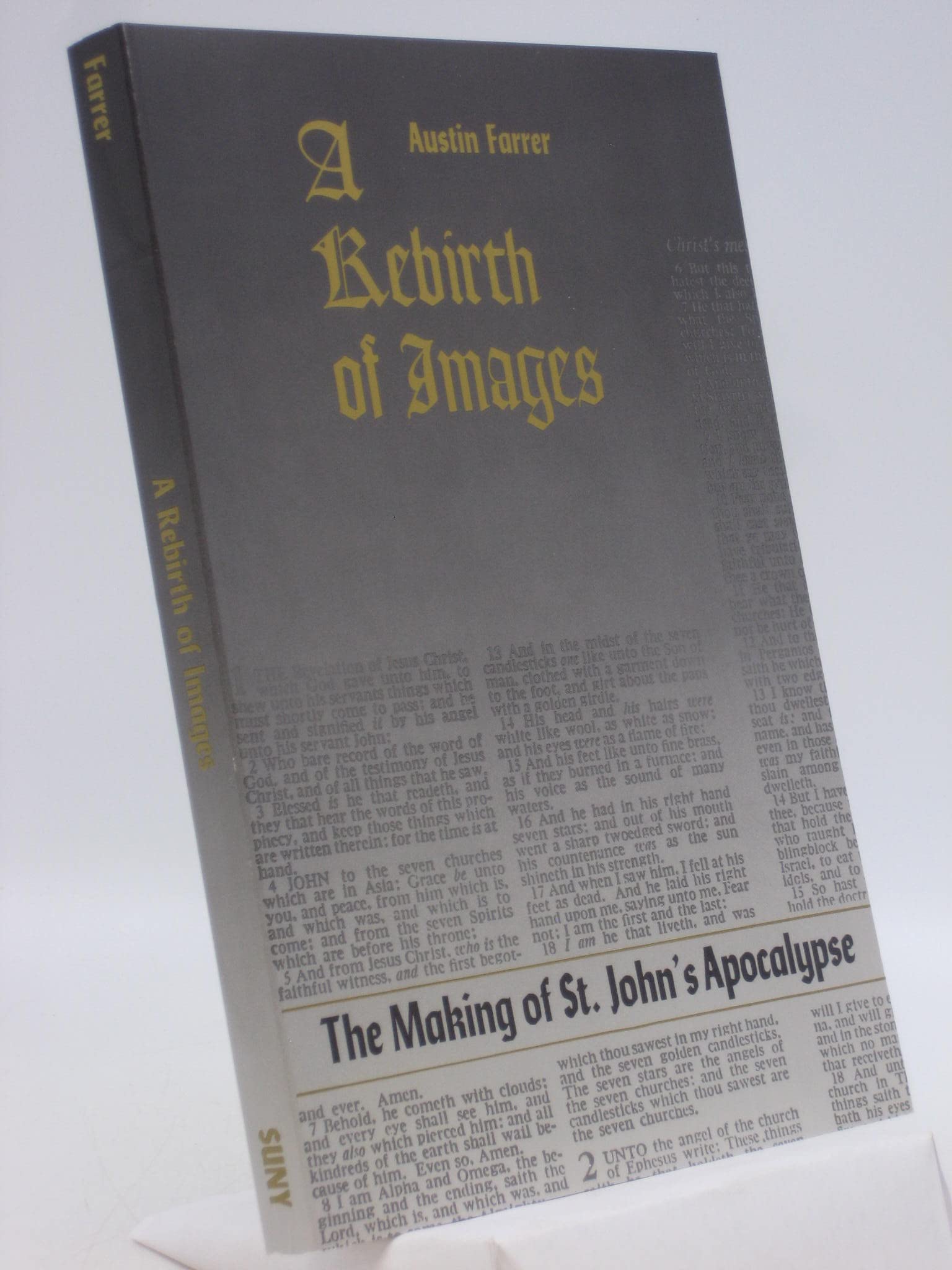 Rebirth of Images, A: The Making of St. John's Apocalypse Religion & Esotericism