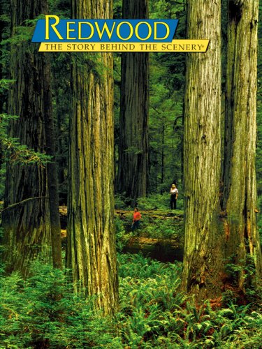 Redwood: The Story Behind the Scenery Mathematics