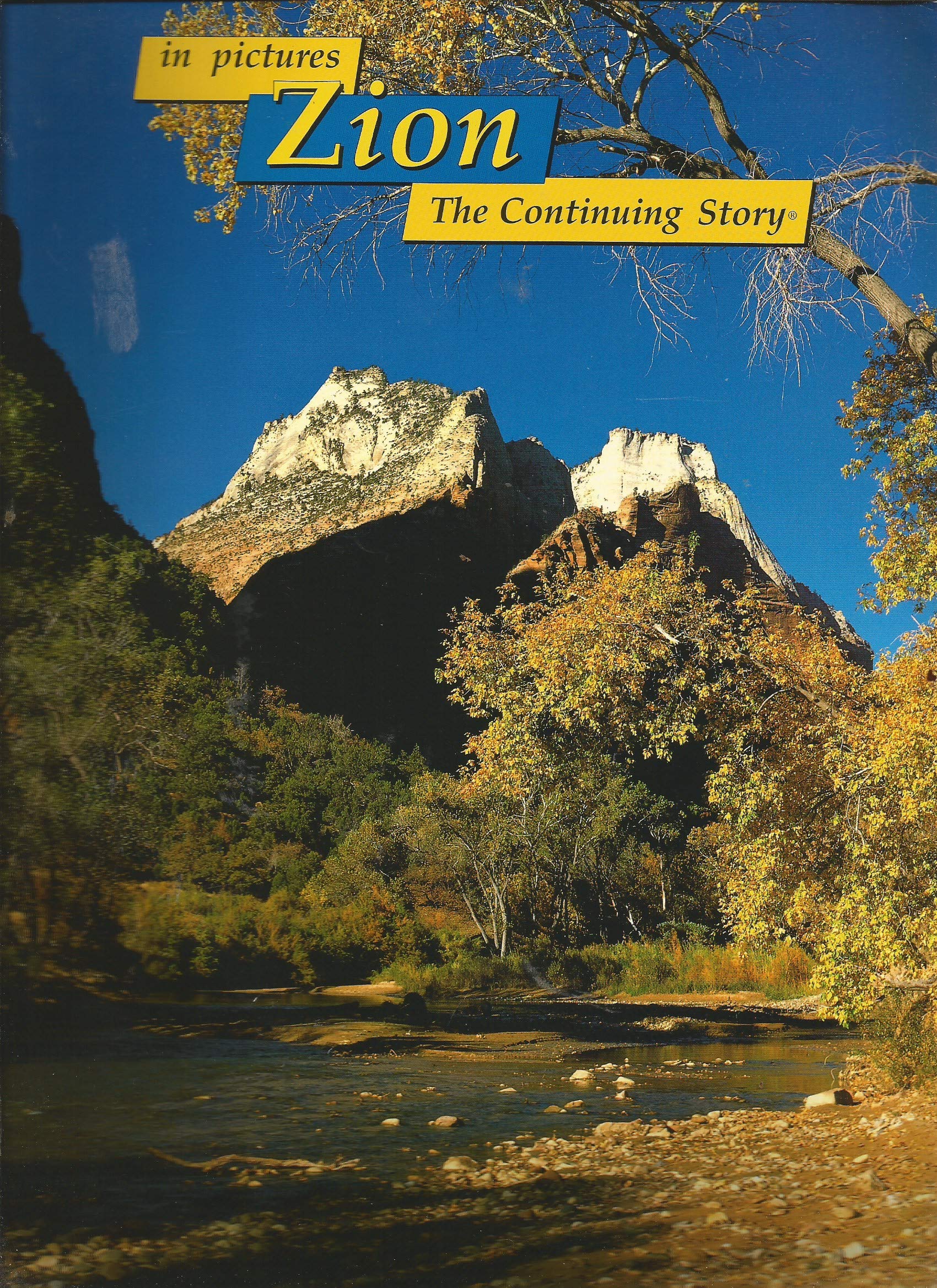 In Pictures: Zion the Continuing Story (In pictures-- the continuing story) Photography