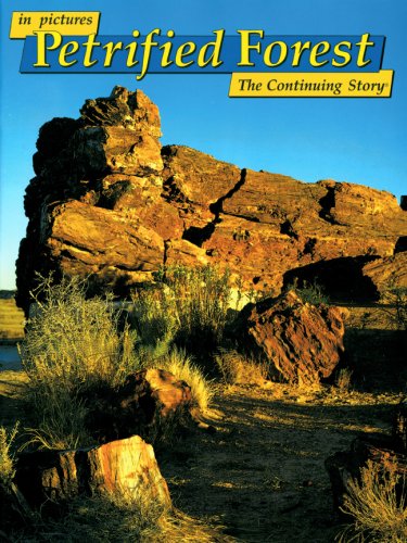 In Pictures Petrified Forest: The Continuing Story Mathematics