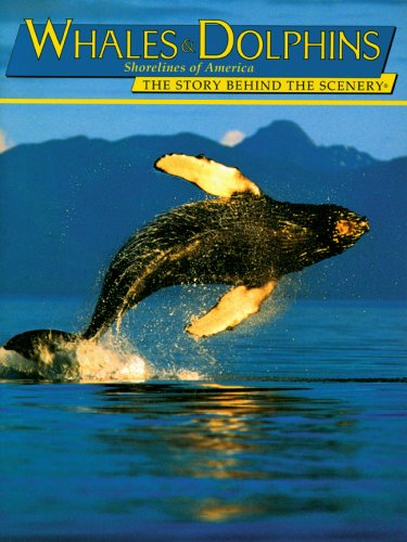 Whales and Dolphins Shorelines of America: The Story Behind the Scenery Natural Sciences
