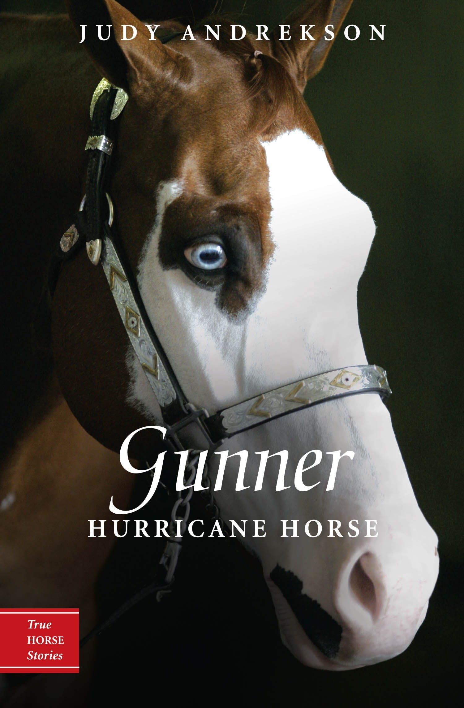 Gunner: Hurricane Horse (True Horse Stories, Band 1) Non-fiction
