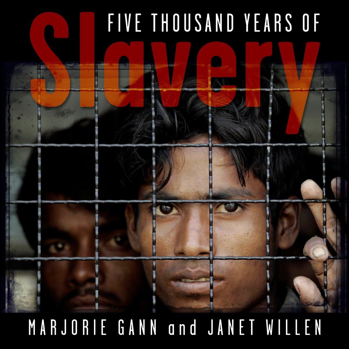 Five Thousand Years of Slavery book
