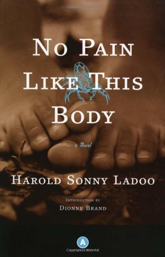 No Pain Like This Body Historical Fiction