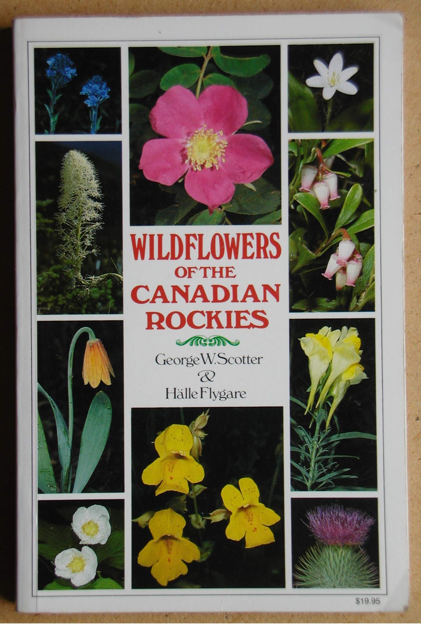 Wildflowers of the Canadian Rockies Natural Sciences