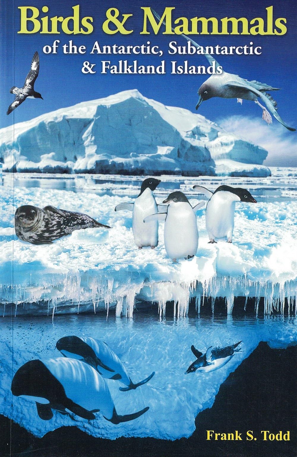 Birds and Mammals of the Antarctic, Subantarctic and Falkland Islands Mathematics