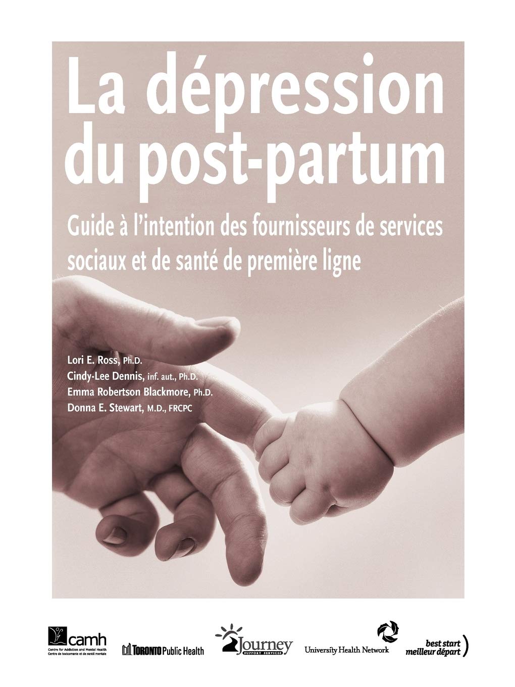 La dépression du post-partum: Guide à l'intention des fournisseurs de services sociaux et de santé de première ligne book