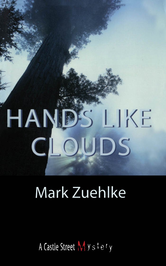 Hands Like Clouds: An Elias McCann Mystery Contemporary literature