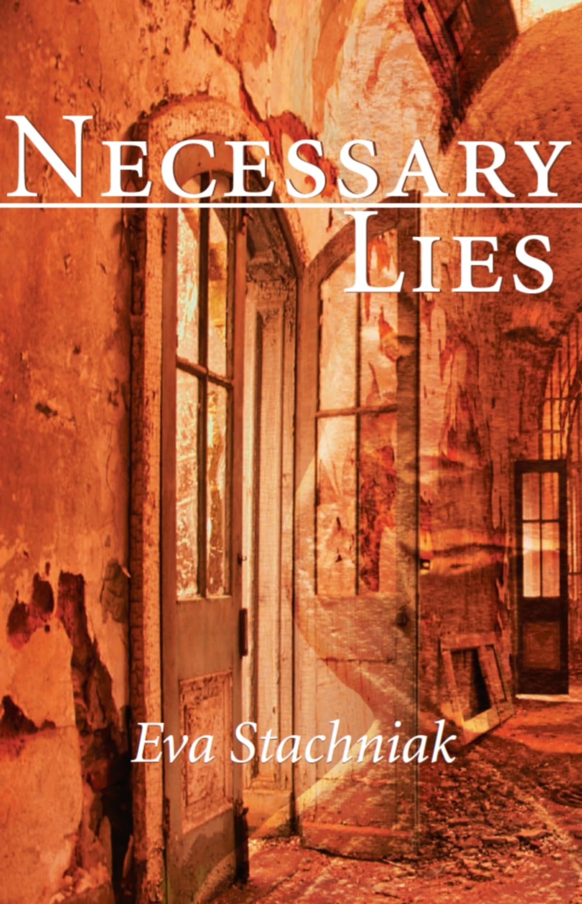 Necessary Lies Contemporary literature Books