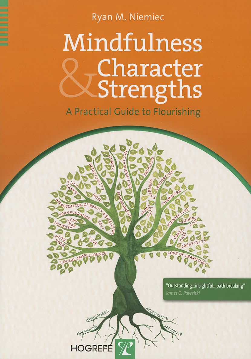 Mindfulness and Character Strengths: A Practical Guide to Flourishing Medicine
