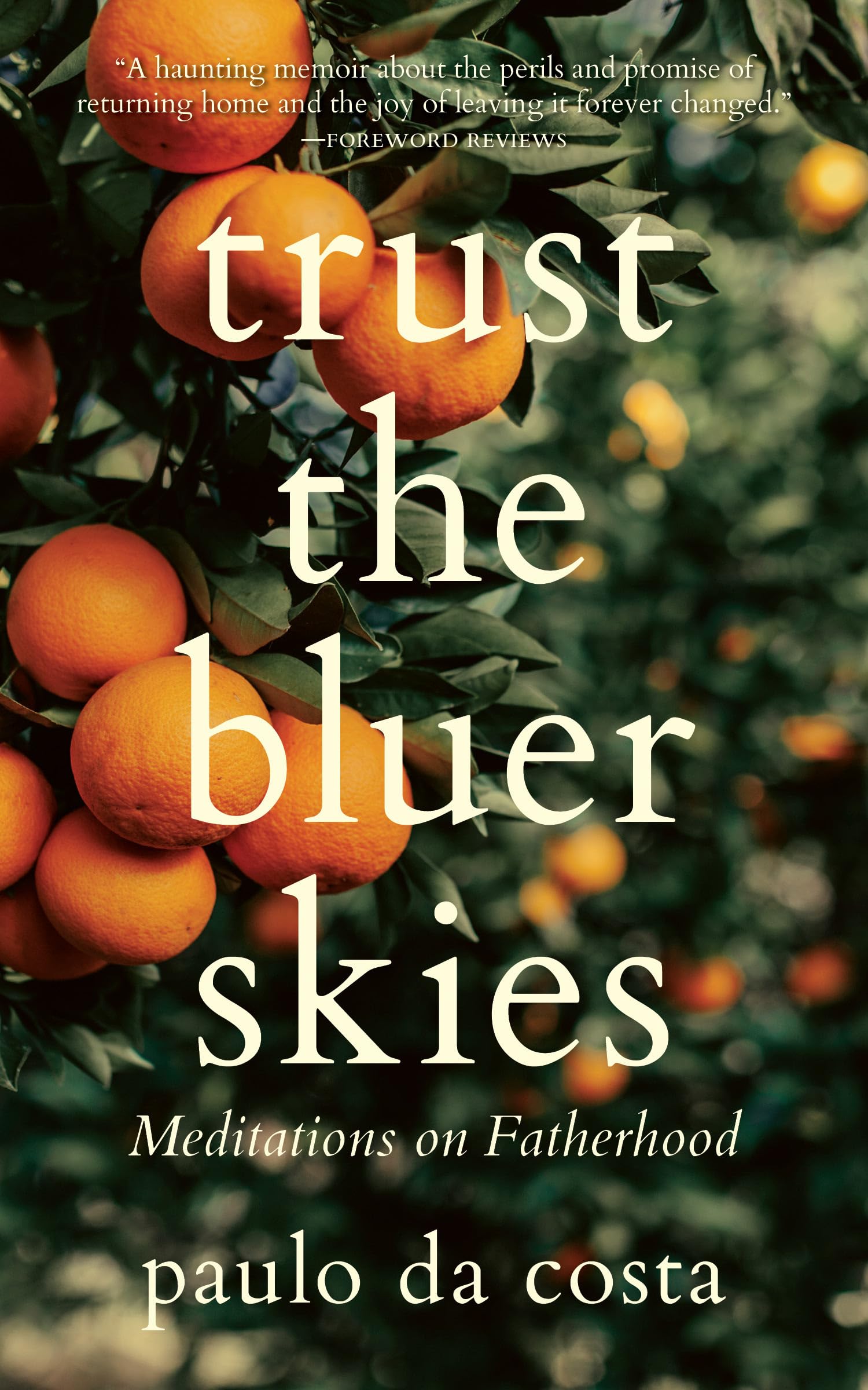 Trust the Bluer Skies: Meditations on Fatherhood Memories
