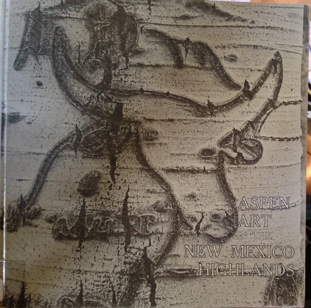 Aspen Art in the New Mexico Highlands Books