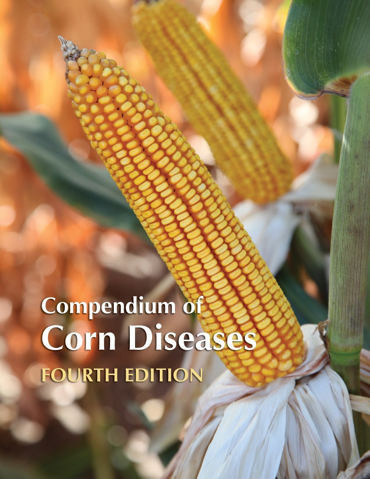 Compendium of Corn Diseases, Fourth Edition Books