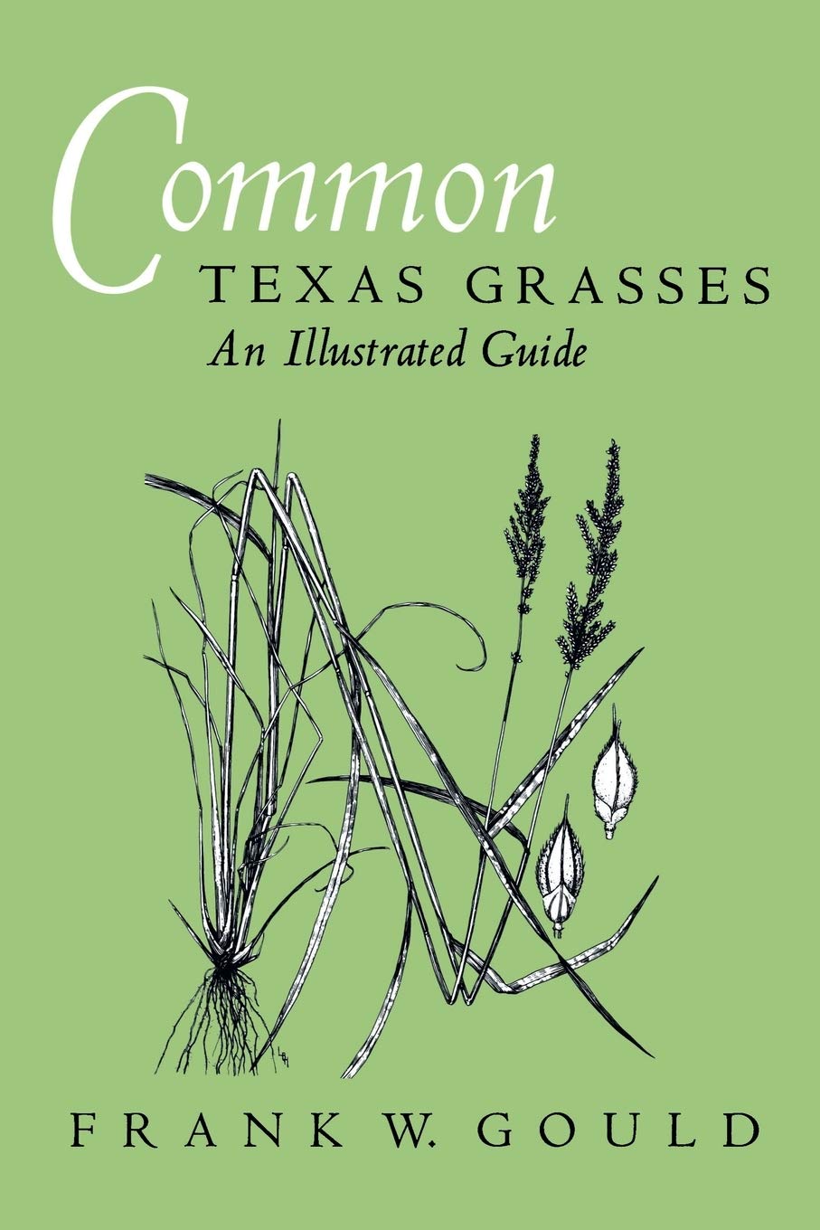 Common Texas Grasses: An Illustrated Guide (W. L. Moody JR. Natural History) Leisure, Home & Garden