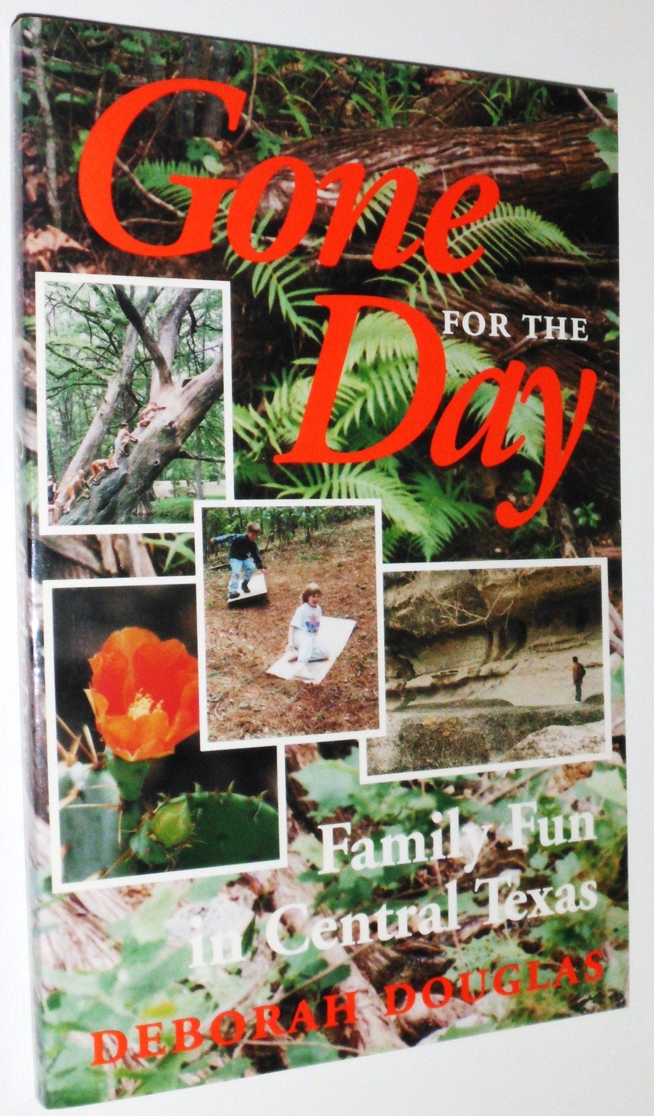 Gone for the Day: Family Fun in Central Texas book