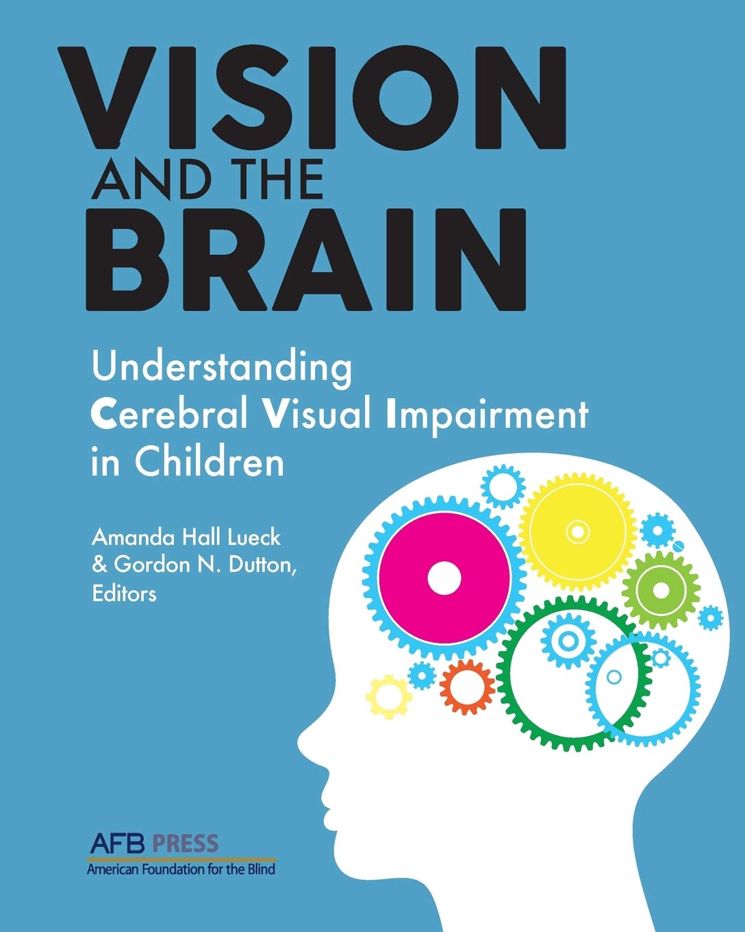 Vision and the Brain: Understanding Cerebral Visual Impairment in Children Medicine