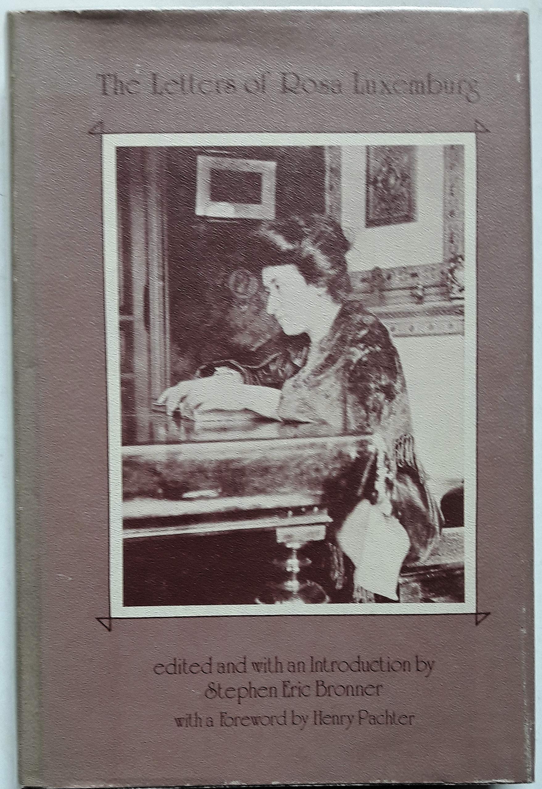 The Letters Of Rosa Luxemburg Memories