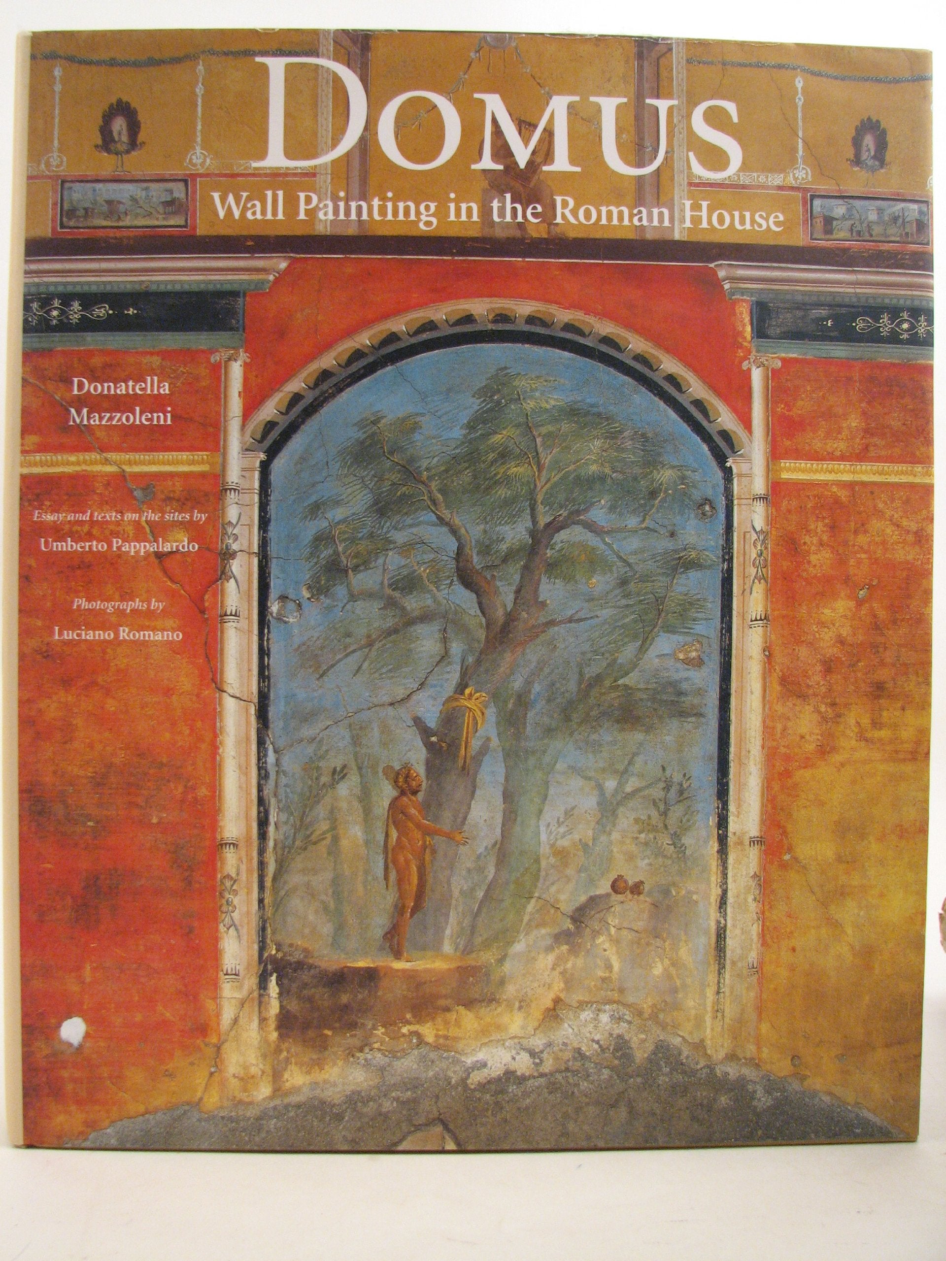 Domus: Wall Painting in the Roman House book