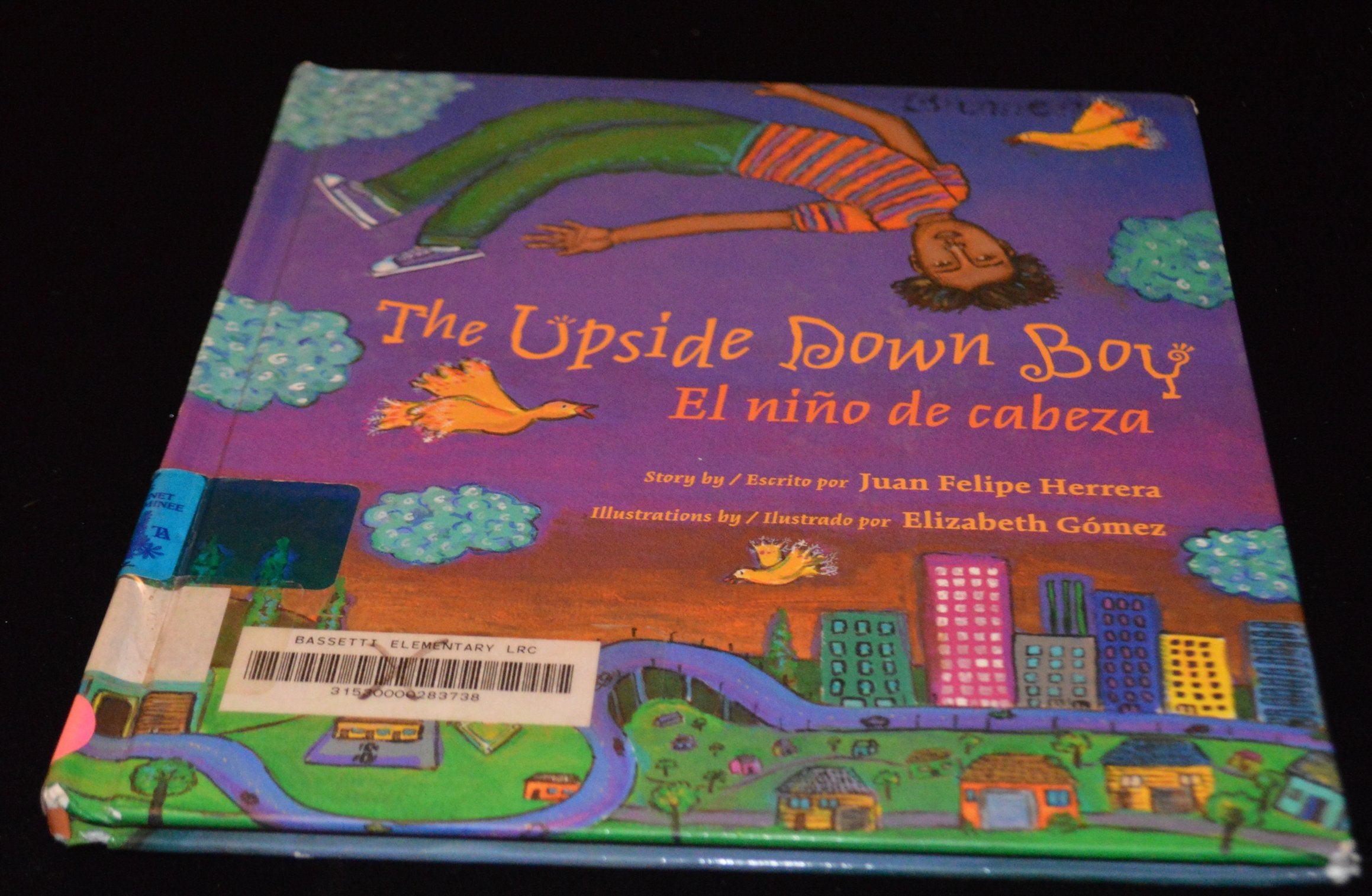 The Upside Down Boy: El Nino De Cabeza book
