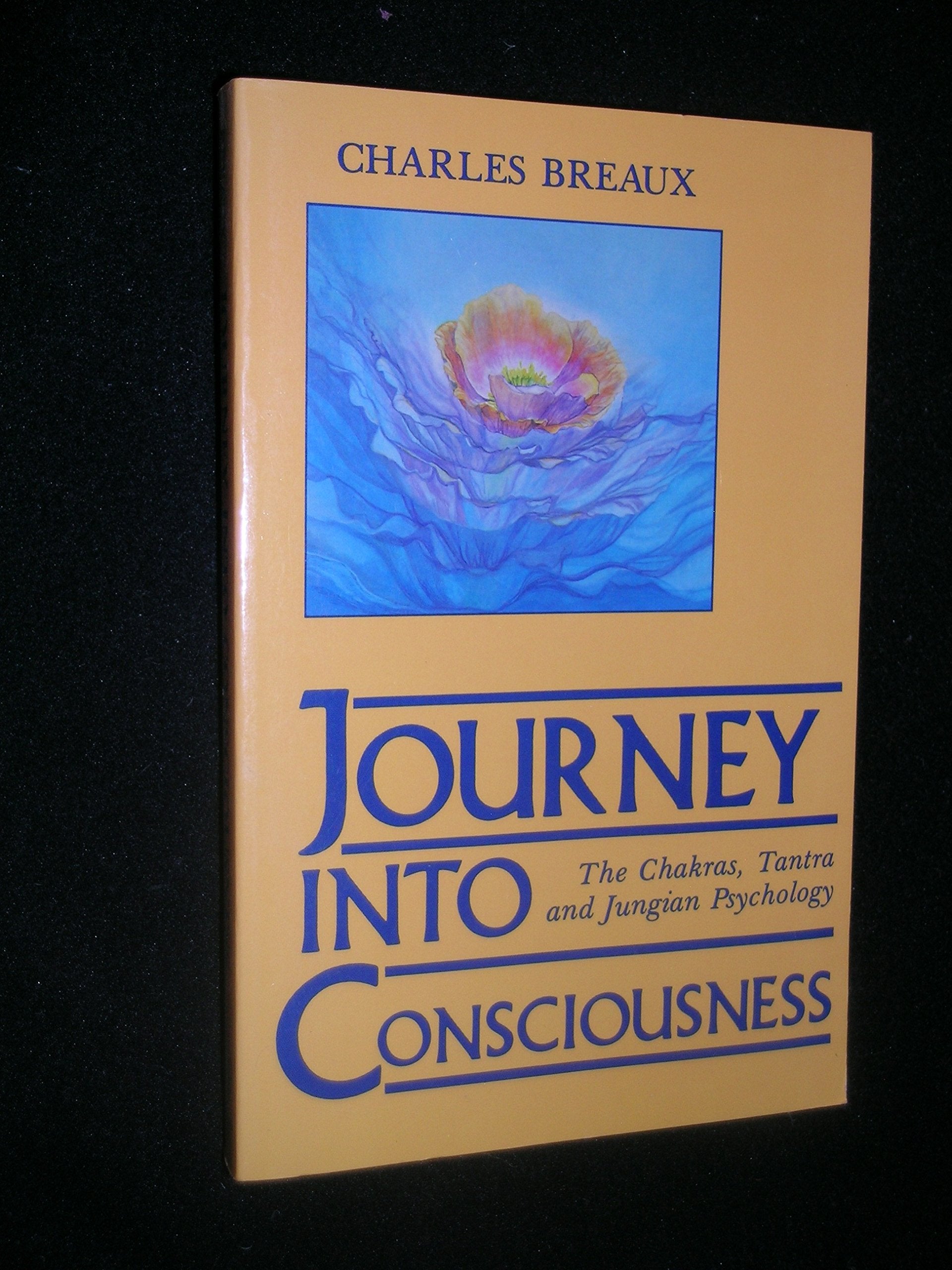 Journey into Consciousness: The Chakras, Tantra and Jungian Psychology Philosophy