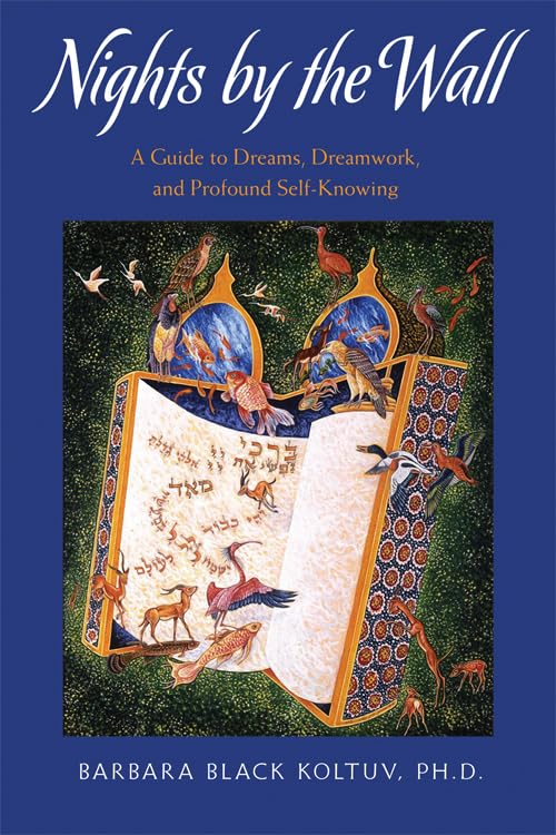 Nights by the Wall: A Guide to Dreams, Dreamwork, and Profound Self-Knowing book