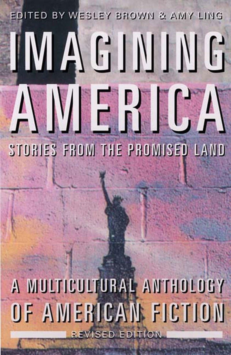 Product Image: Imagining America