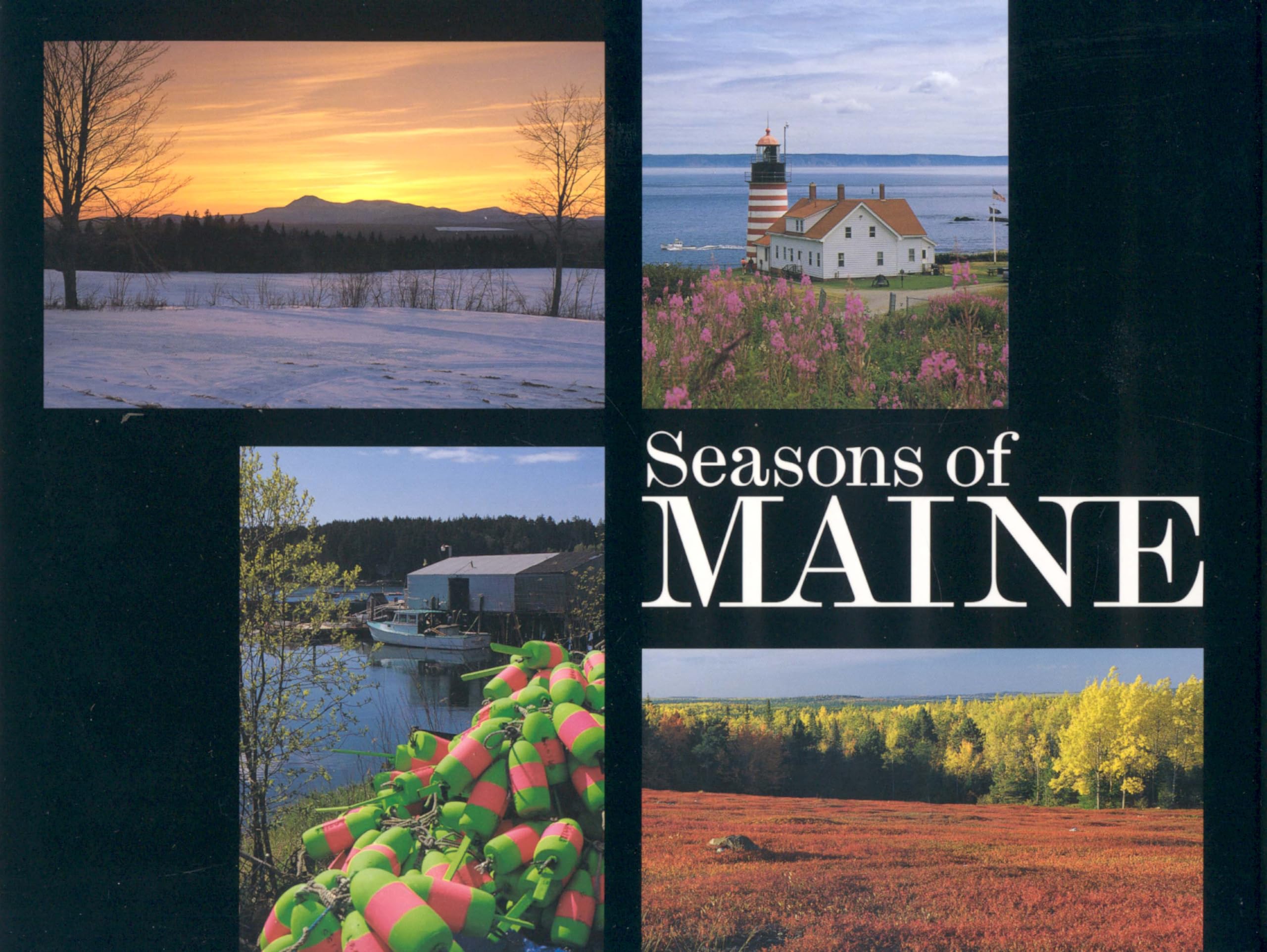 Seasons of Maine Nature & Animals