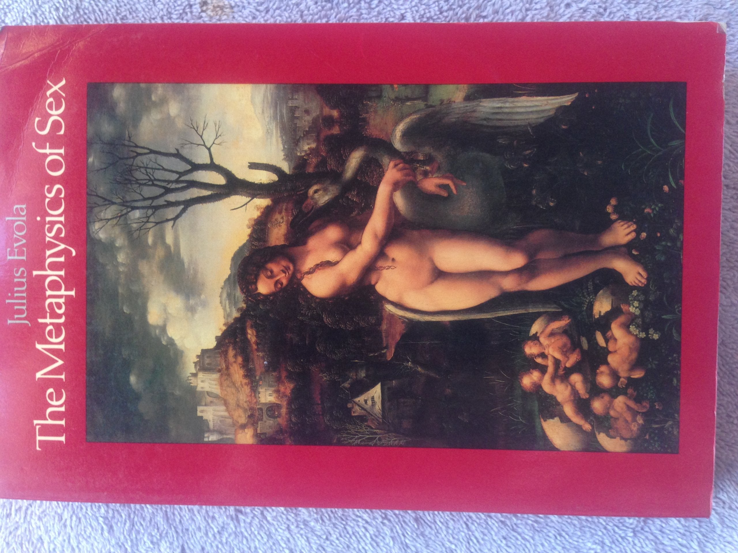Metaphysics of Sex book