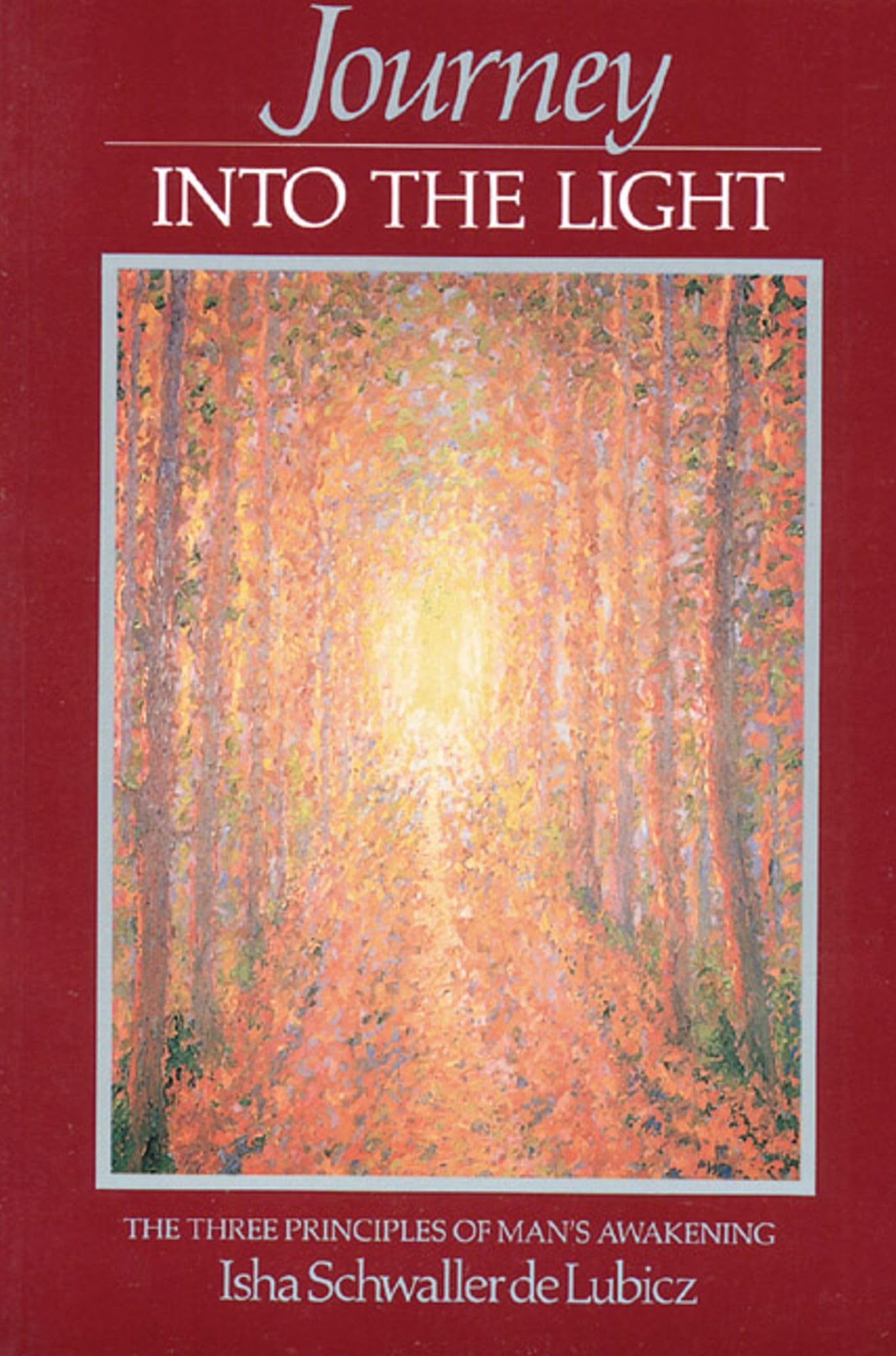 Journey into the Light: The Three Principles of Man's Awakening Horror & Mystery