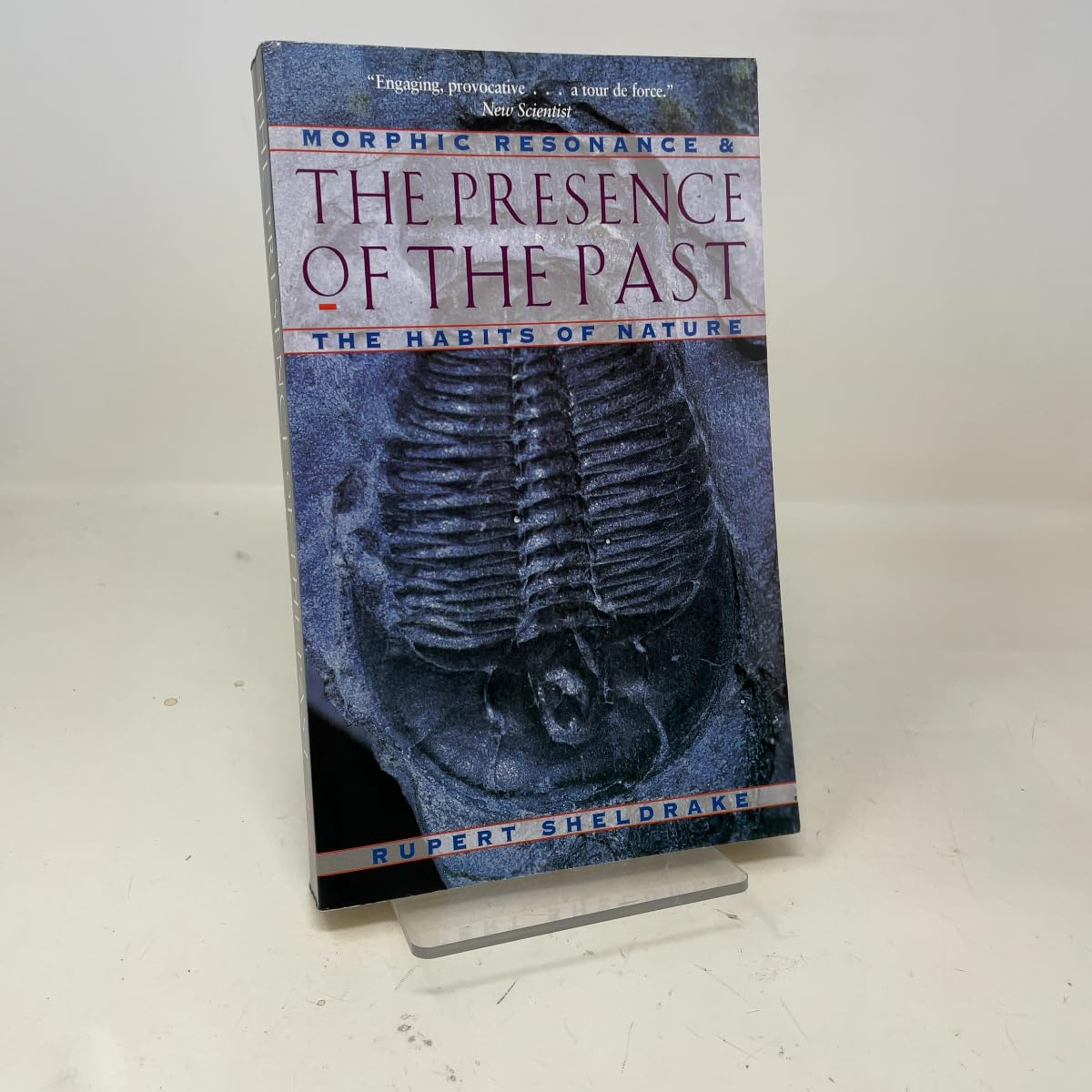The Presence of the Past: Morphic Resonance and the Habits of Nature Mathematics