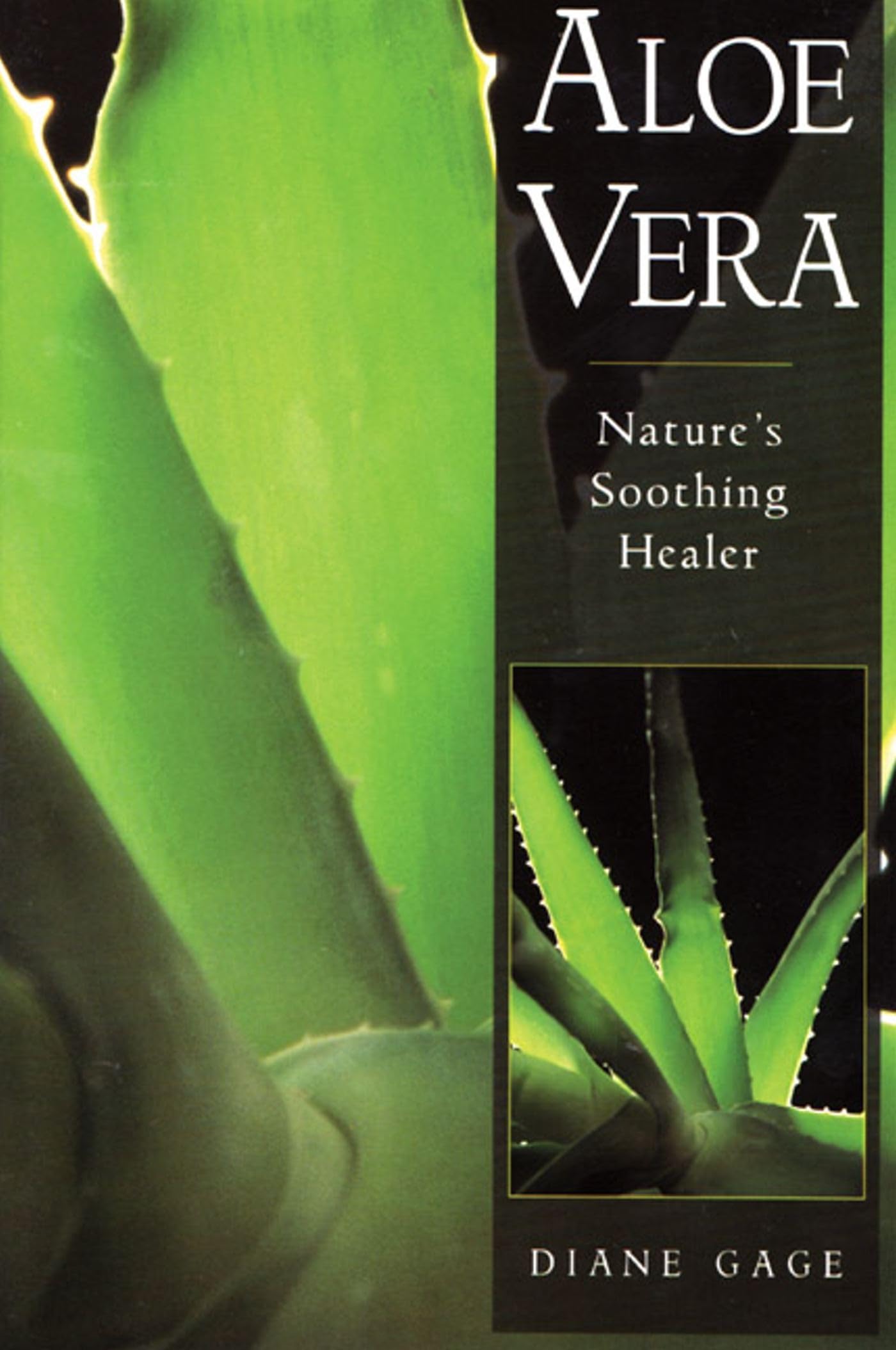 Aloe Vera: Nature's Soothing Healer Medicine