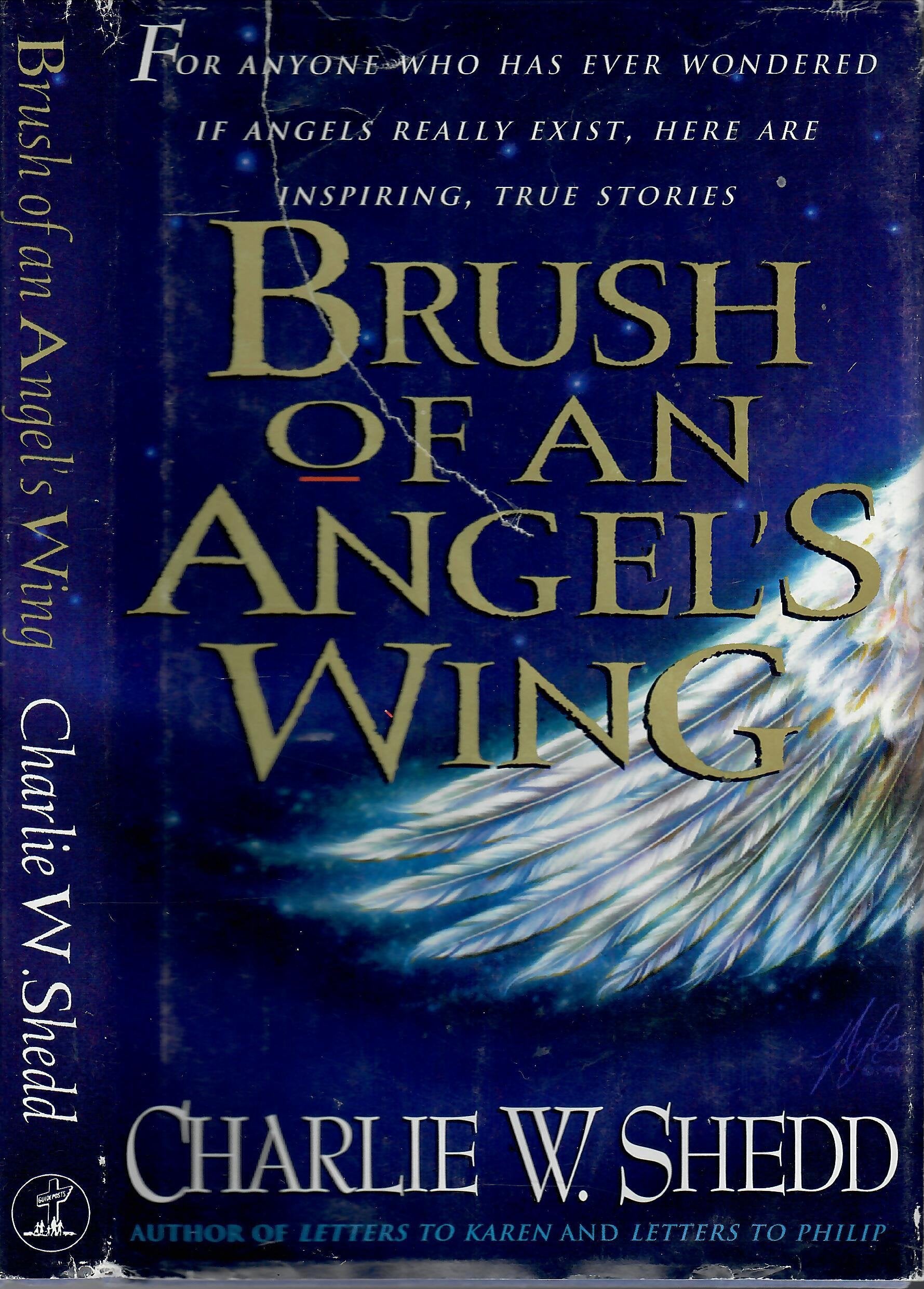 Brush of an Angel's Wing book