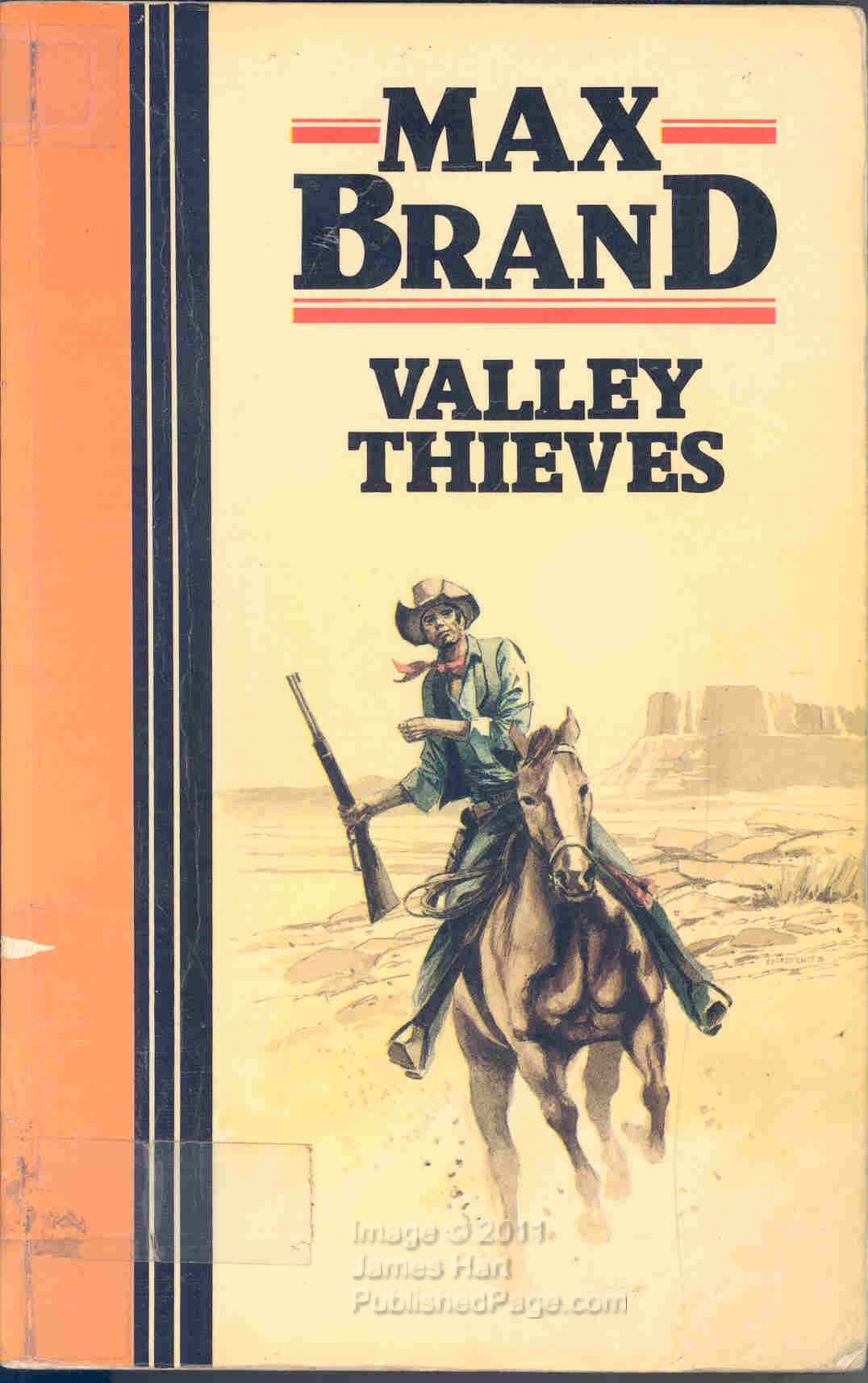 Valley thieves by Brand, Max Books