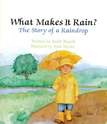 What Makes It Rain?: The Story of Raindrops Novels & Short Stories